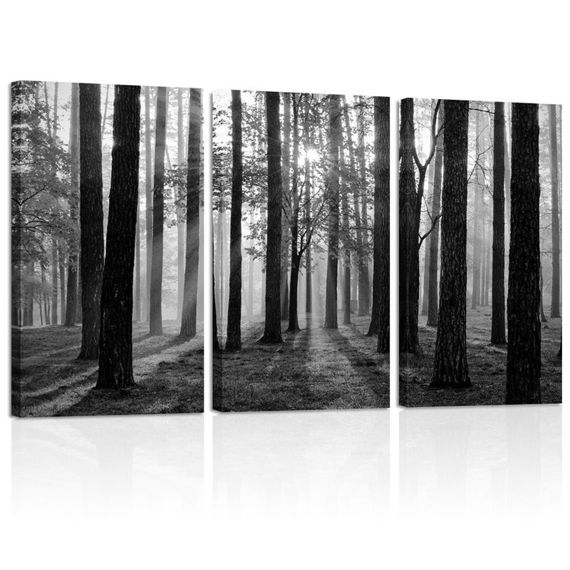 Visual Art Decor Black and White Nature Forest Landscape Picture Art Prints on Canvas Framed and Stretched Canvas Art Home Decor Living Room Wall Art - Image 1